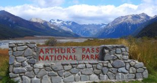 Arthur's Pass National Park, Canterbury Region, New Zealand