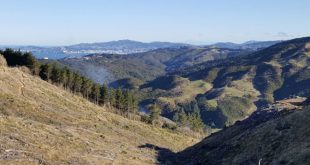 Belmont Regional Park, Wellington Region, New Zealand