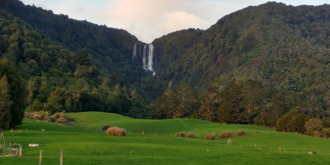 Kaimai-Mamaku Forest Park, Bay of Plenty Region, New Zealand