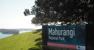 Mahurangi Regional Park, Auckland Region, New Zealand