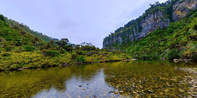 Paparoa National Park, West Coast Region, New Zealand