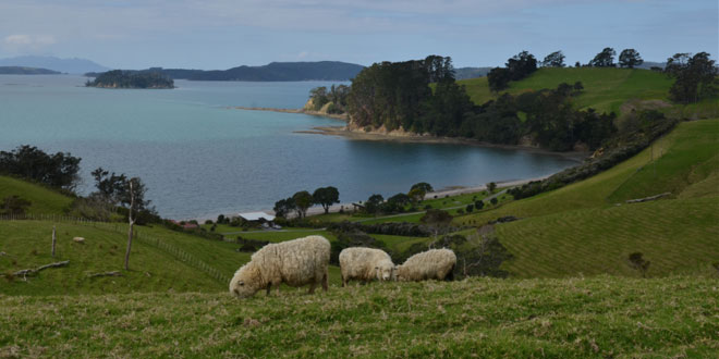 Tawhitokino and Orere Point, Auckland Region, New Zealand