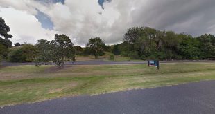 Waharau Regional Park, Auckland Region, New Zealand