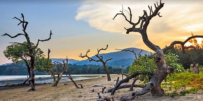 Saddle Peak National Park, Andaman and Nicobar Islands, India