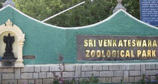 Sri Venkateswara National Park, Andhra Pradesh, India