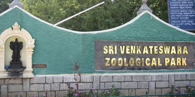Sri Venkateswara National Park, Andhra Pradesh, India