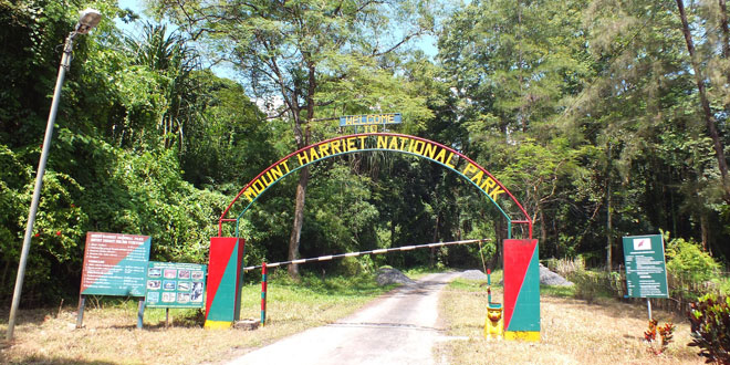 Mount Harriet National Park, Andaman and Nicobar Islands, India
