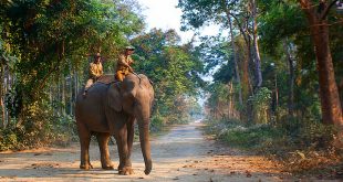 Nameri National Park, Assam, India