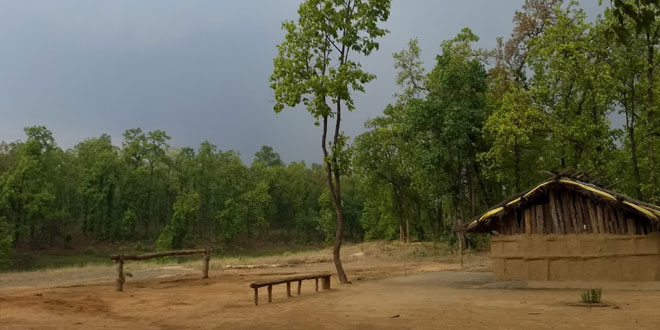 Sanjay National Park, Chhattisgarh, India