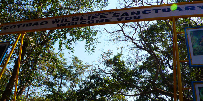 Cotigao Wildlife Sanctuary, Goa, India