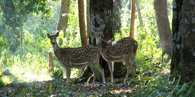 Kalesar National Park, Haryana, India