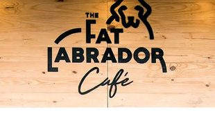 The Fat Labrador Cafe, Bavdhan, Pune Cafe