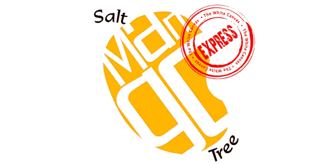 Salt Mango Tree, Indiranagar, Bangalore
