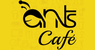 Ants Cafe, Gachibowli, Hyderabad Continental Restaurant