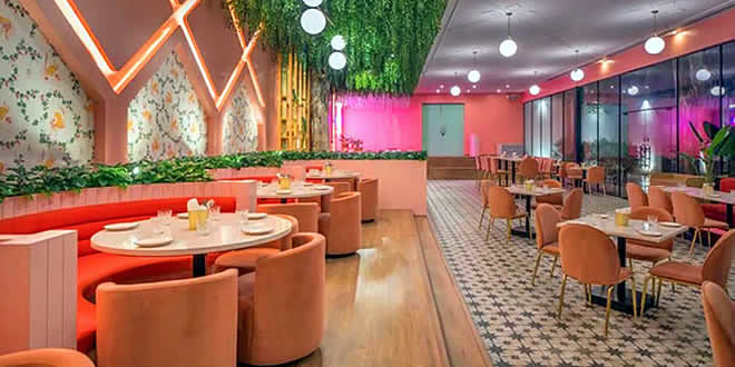 Tiger Lily Bistro, Jubilee Hills, Hyderabad Continental Restaurant