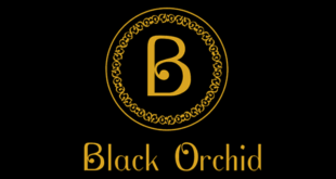 Black Orchid, RA Puram, Chennai Multi-Cuisine Restaurant