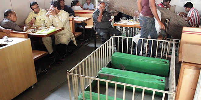 Cafe on Kabristan: Ahmedabad Restaurant where people dine among the dead