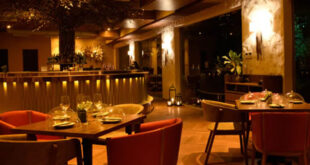 SWAN, Mehrauli, New Delhi Japanese Restaurant