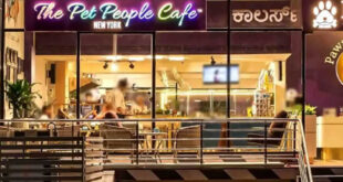 Pet People Cafe, HSR, Bangalore