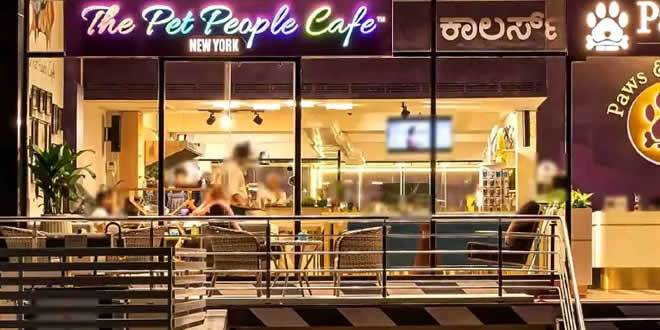 Pet People Cafe, HSR, Bangalore