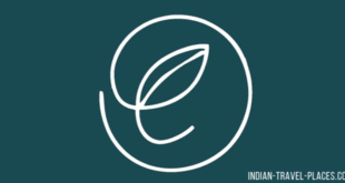 Cafe Earnest, C Scheme, Jaipur Restaurant Food Review