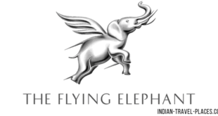 Flying Elephant: Park Hyatt, Guindy, Chennai