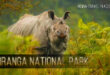 Kaziranga National Park, Assam, India World Heritage Site