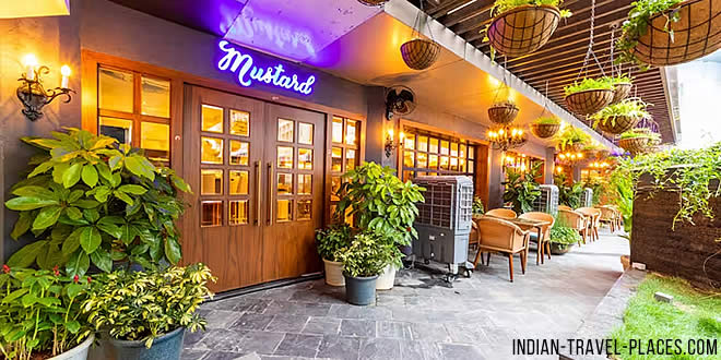 Mustard Restro Bar, Nungambakkam, Chennai