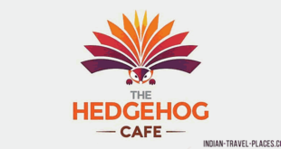 The Hedgehog Cafe, Sector 7, Chandigarh Fast Food Restaurant