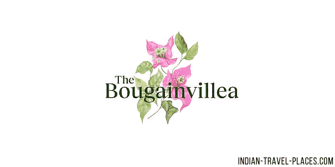 Bougainvillea, Jubilee Hills, Hyderabad