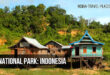 Kutai National Park: East Kalimantan Province, Indonesia.
