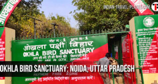 Okhla Bird Sanctuary, Noida, Uttar Pradesh: ओखला पक्षी अभयारण्य