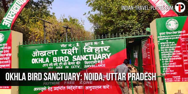 Okhla Bird Sanctuary, Noida, Uttar Pradesh: ओखला पक्षी अभयारण्य