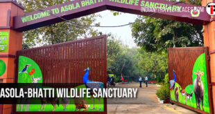 असोला भाटी वन्यजीव अभयारण्य, तुगलकाबाद, नई दिल्ली: Asola-Bhatti Wildlife Sanctuary